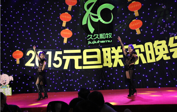 2015元旦联欢晚会20141222双人舞roly poly